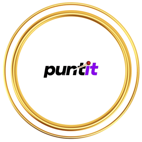 Puntit logo
